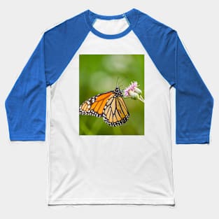 Monarch's Majesty. Baseball T-Shirt